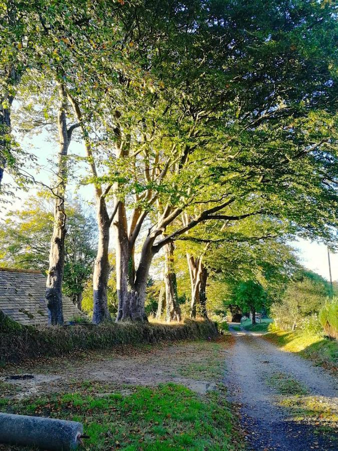 Cornwall, Looe - Magical Pendriffey Pelynt Zewnętrze zdjęcie